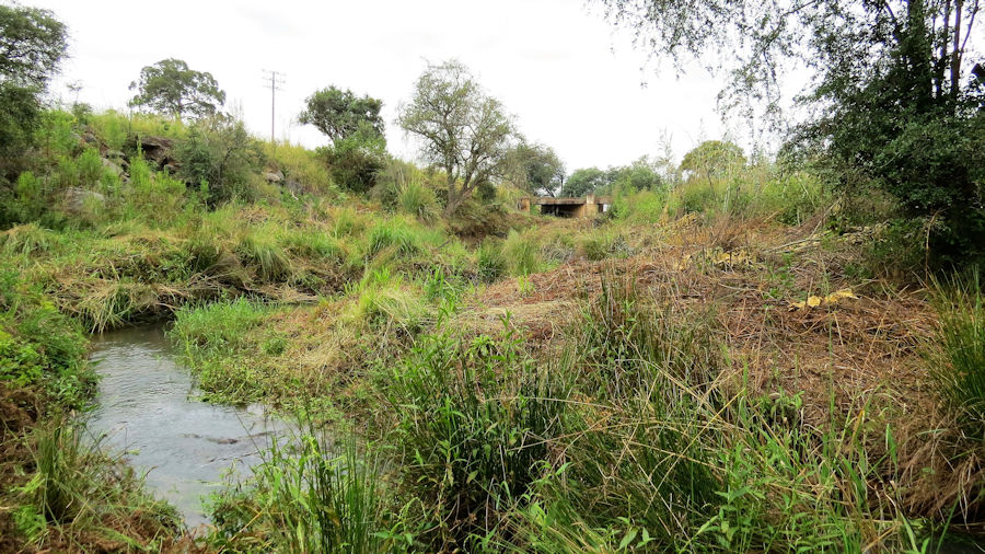 View of Dargle river - March 2017